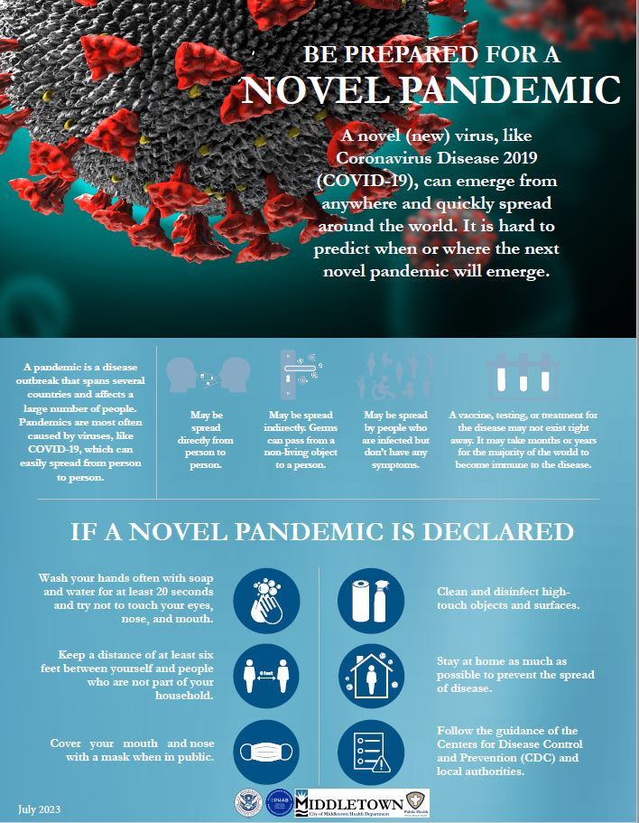 PANDEMIC 1 ENGLISH