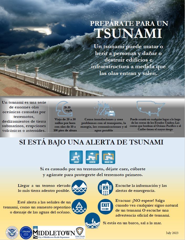 TSUNAMI 1 SPANISH