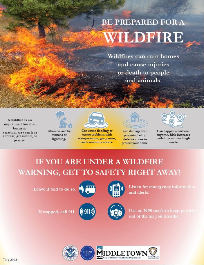 WILDFIRE 1 ENGLISH