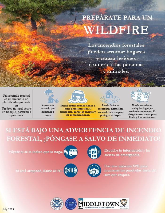 WILDFIRE 1 SPANISH