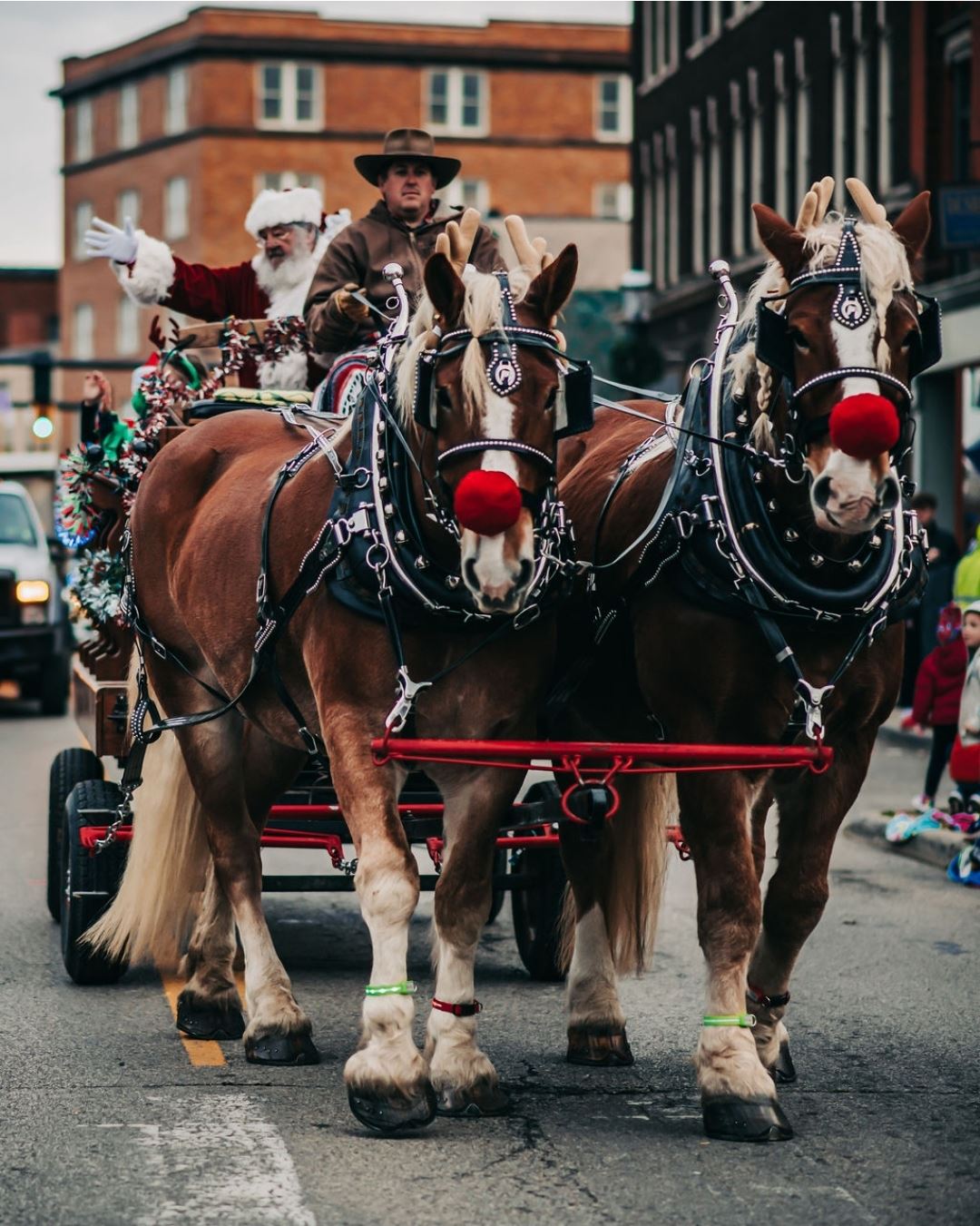 Horses pulled wagon on street