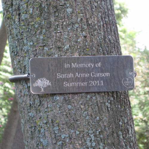 Memorial Tree 2